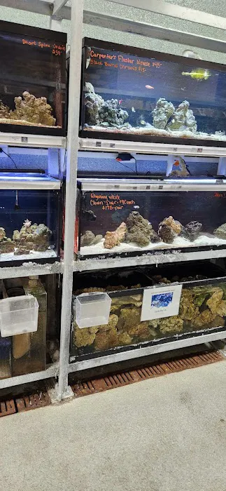 Animart Pet Store 12