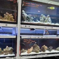Animart Pet Store ico