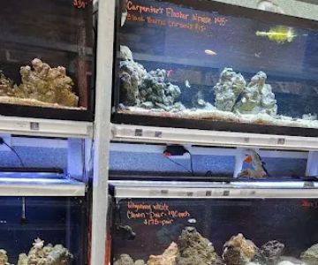 Animart Pet Store