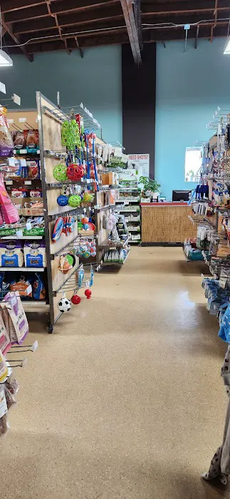 Animart Pet Store 12