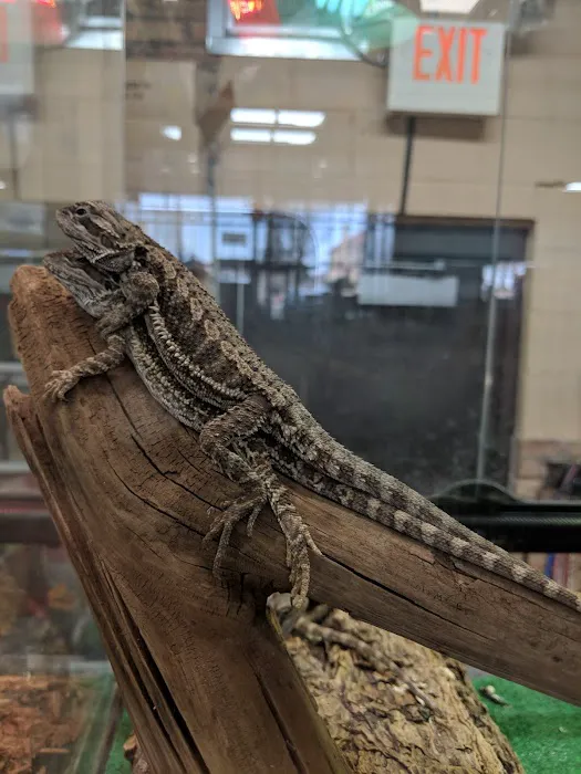 Animart Pet Store 12