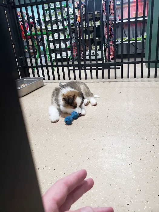 Animart Pet Store 12