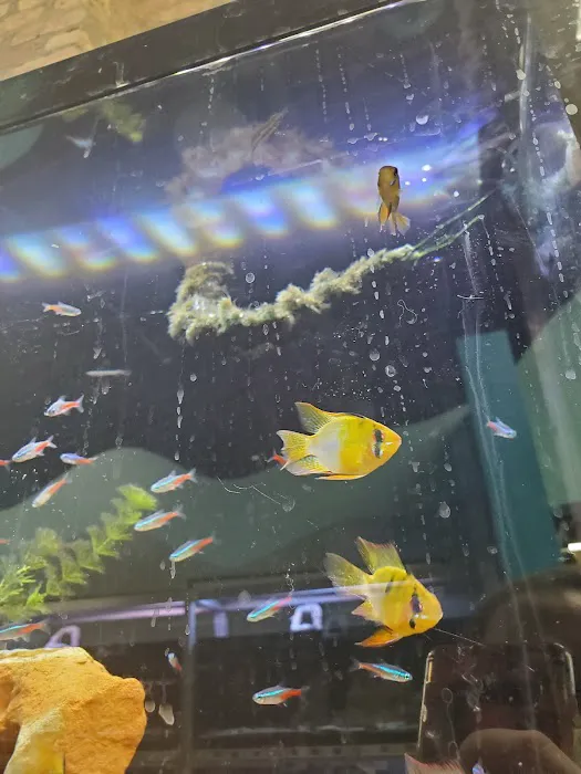 Animart Pet Store 12