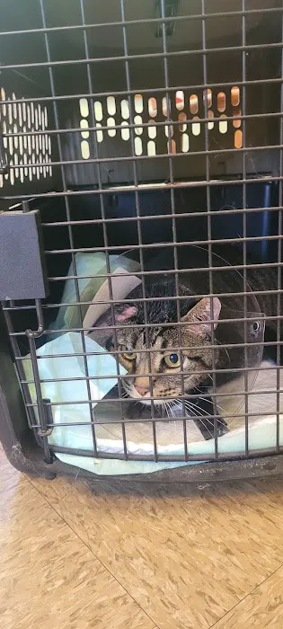 Goshen Animal Hospital 12