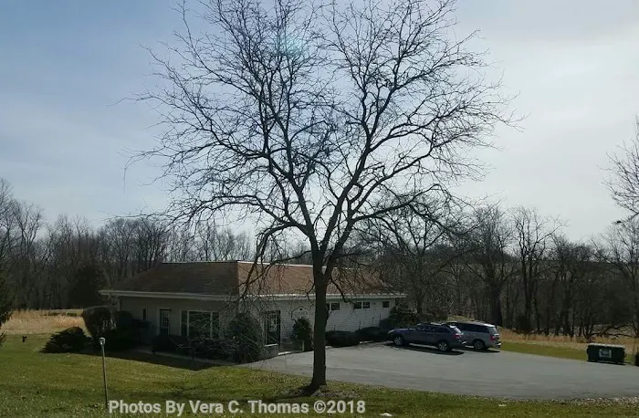 Goshen Animal Hospital 12