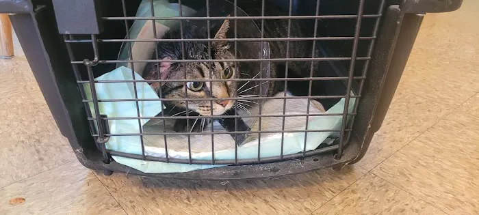 Goshen Animal Hospital 12