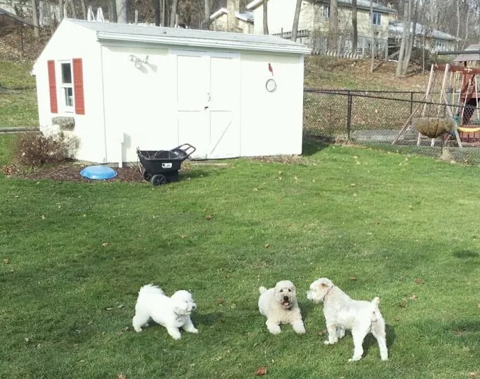 Goshen Animal Hospital 12