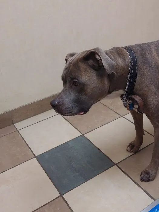 VCA Orange County Veterinary Hospital 6