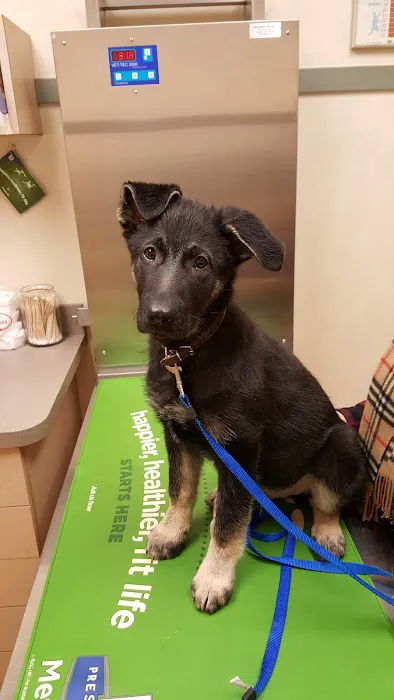 VCA Orange County Veterinary Hospital 5