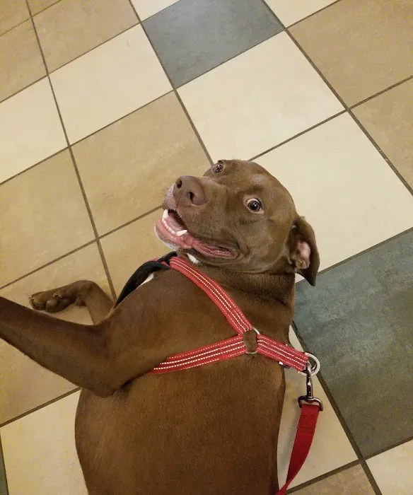 VCA Orange County Veterinary Hospital 8