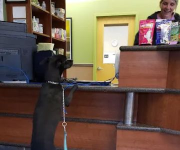 Advanced Veterinary Care