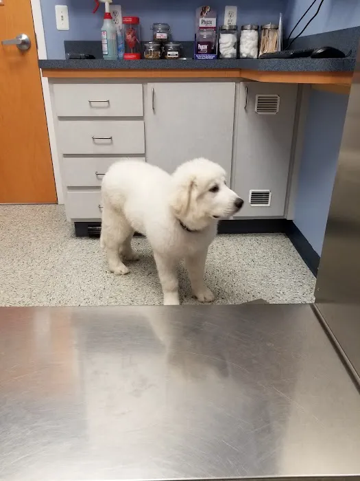 Wantage Veterinary Hospital 12