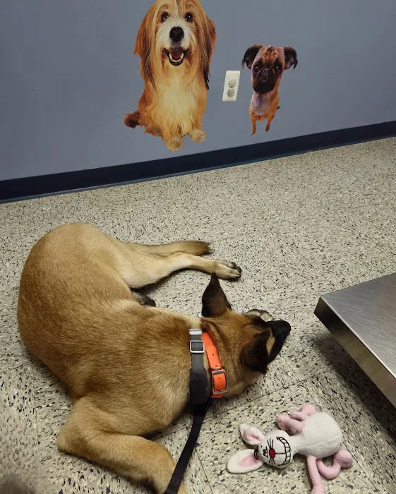 Wantage Veterinary Hospital 12
