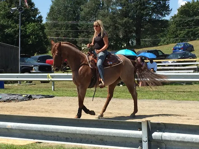 Woods End Equine Veterinary Services 12