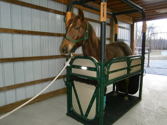 Woods End Equine Veterinary Services 12