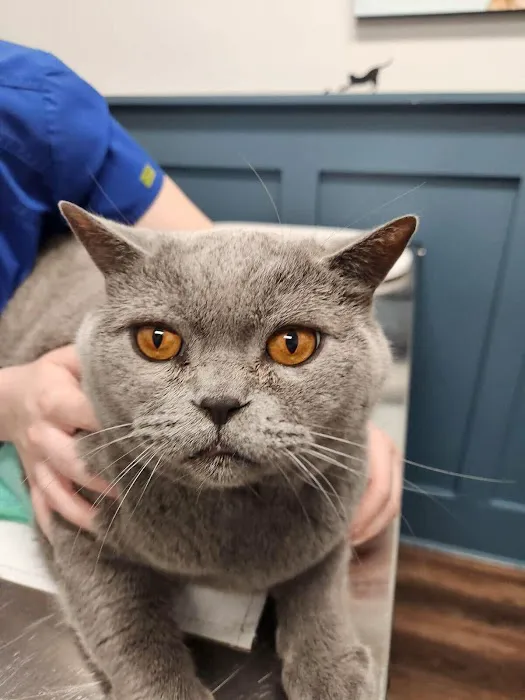 Veterinary Center of Hardyston 12
