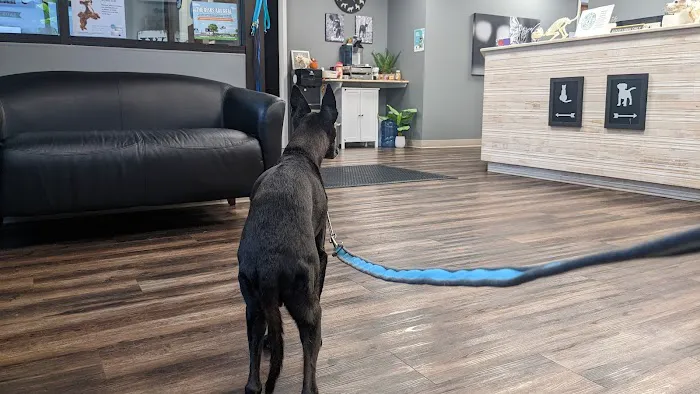 Veterinary Center of Hardyston 12