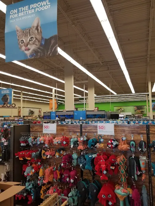 Petco 6