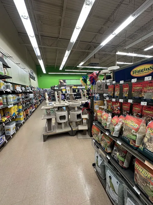 Petco 9