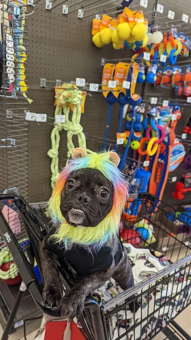 Petco 4