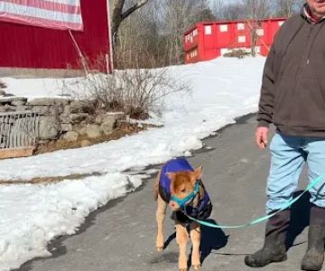 Skylands Veterinary Services