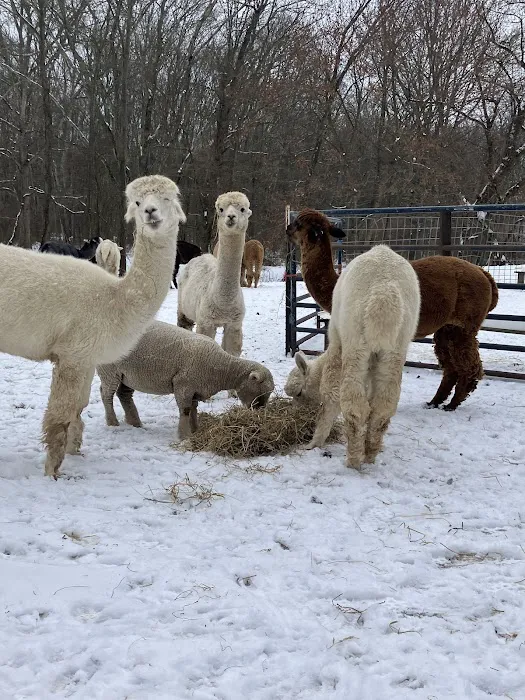 Skylands Veterinary Services 12