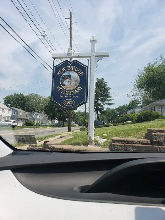 New Bridge Veterinary Practice 12