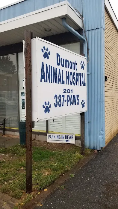 Dumont Animal Hospital 12