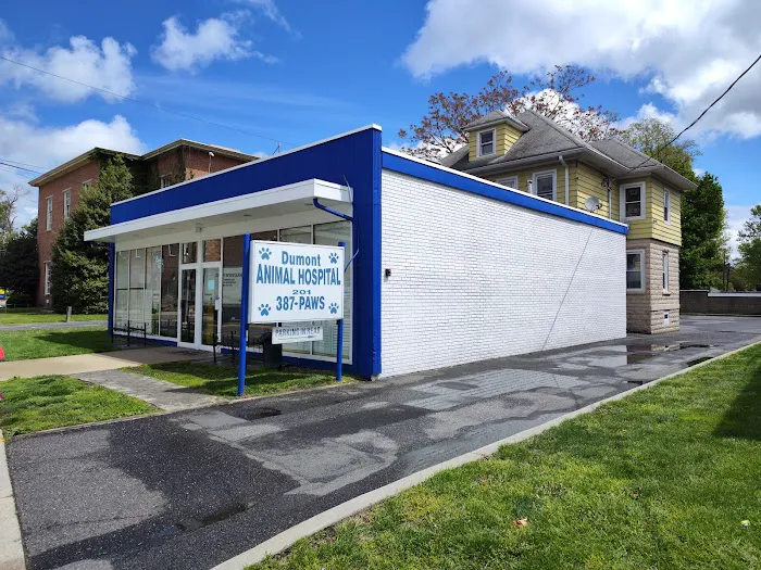 Dumont Animal Hospital 12