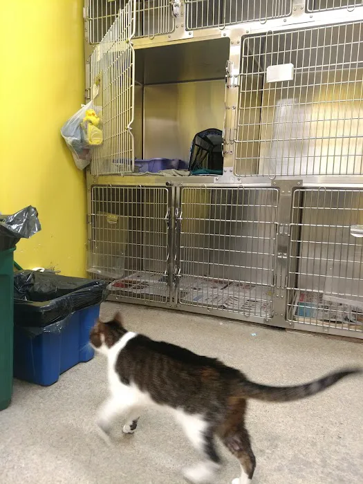Dumont Animal Hospital 12
