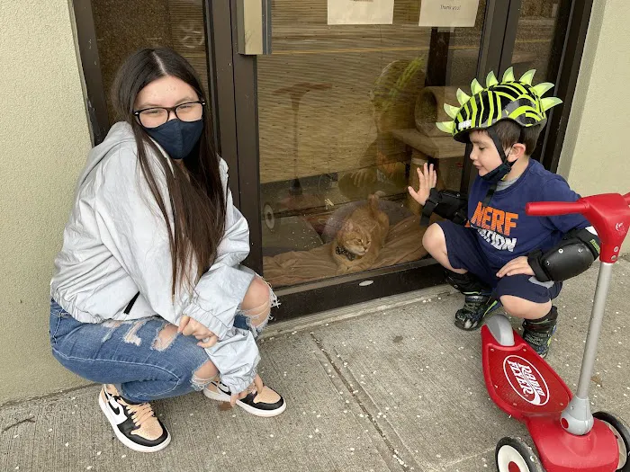 Bergenfield Animal Clinic 12