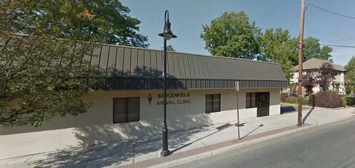 Bergenfield Animal Clinic 12