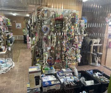 Pet Lovers Pet Shop and Grooming