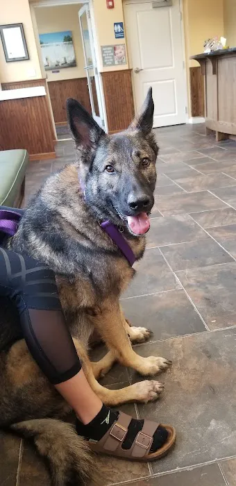 VCA Old Tappan Veterinary Hospital 12