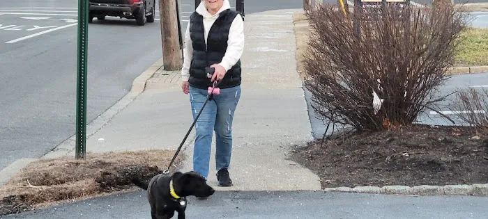 VCA Old Tappan Veterinary Hospital 12