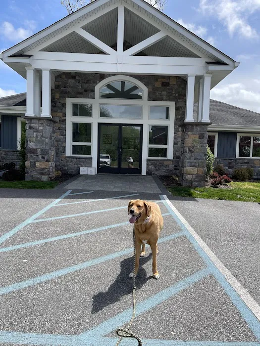 Palisades Veterinary Hospital 12