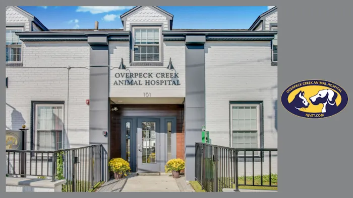 Overpeck Creek Animal Hospital 12