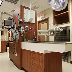 Northvale Veterinary Clinic 12