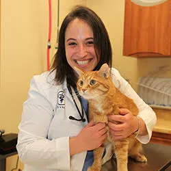 Northvale Veterinary Clinic 12