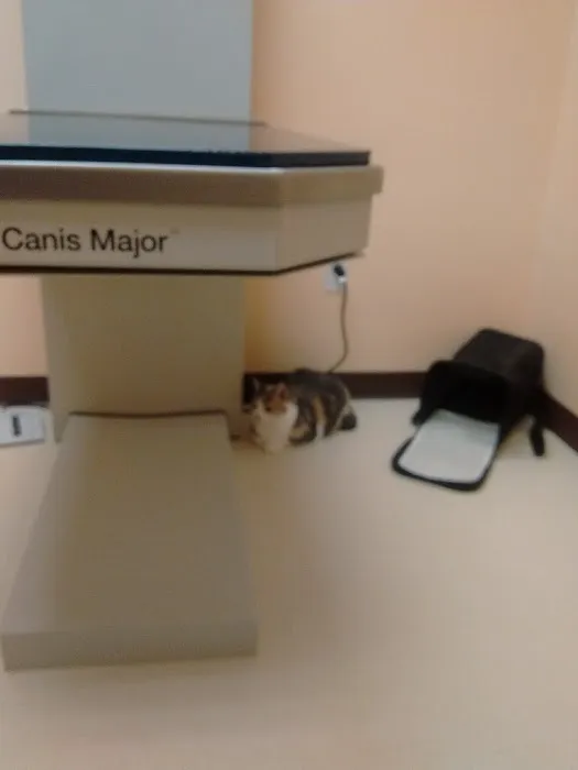 Northvale Veterinary Clinic 12