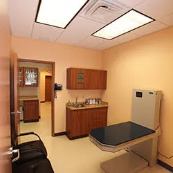 Northvale Veterinary Clinic 12