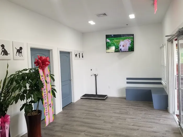 Animal Care of Closter 12