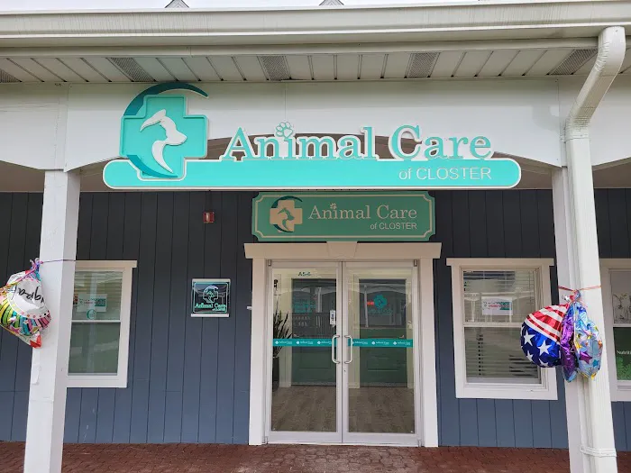 Animal Care of Closter 12