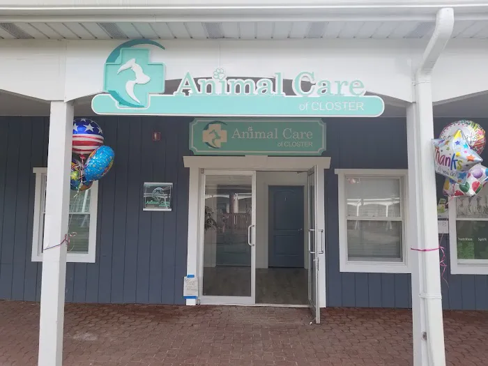 Animal Care of Closter 12