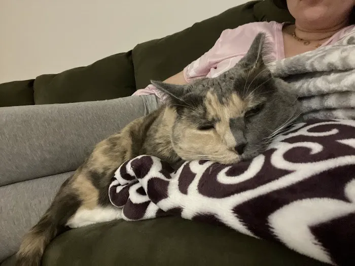 Animal Care of Closter 12