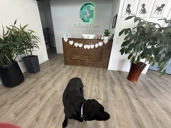 Animal Care of Closter 12