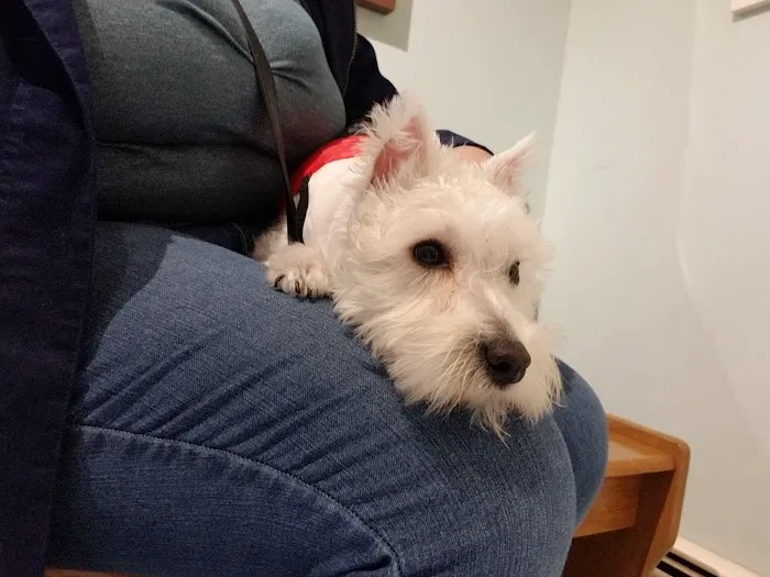 Dr Rivero Rita DVM - Demarest Veterinarian 12