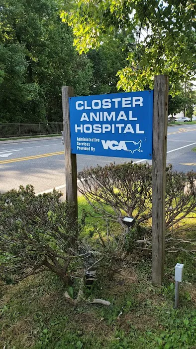 Closter Animal Hospital 12