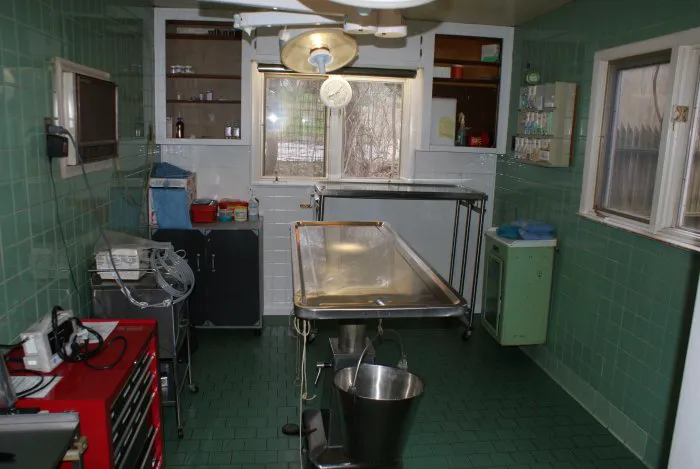 Closter Animal Hospital 12