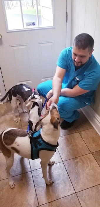 Closter Animal Hospital 12